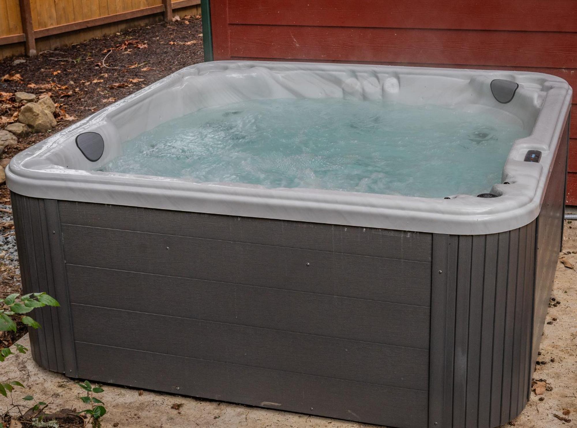 Mt. Rainier Cabin W/Hot Tub Ashford Buitenkant foto